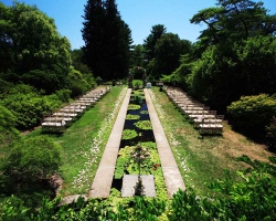 -ceremony-outdoor-pond