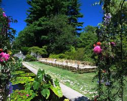 outdoor-pond